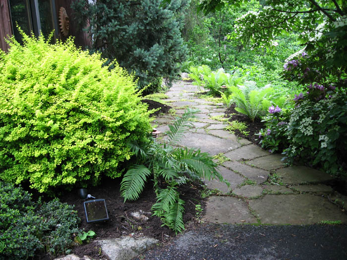 Berks County & Lehigh County Landscaping AFFORDABLE!Schuster